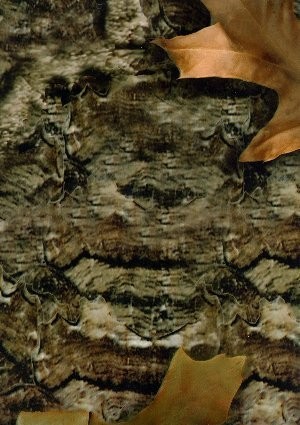 wtp-205_mothwing_original