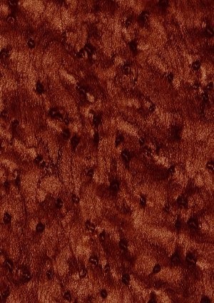 wtp-236