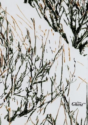 wtp-247_snow_ghost