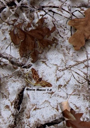 wtp-266_winter_mimicry