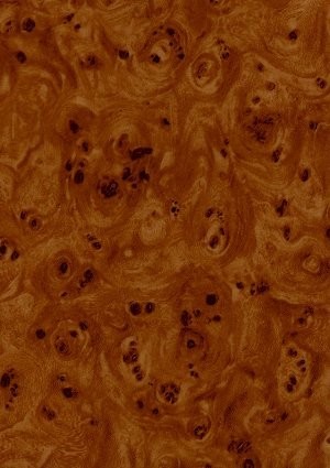 wtp-284