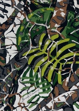 wtp-290_brush_country