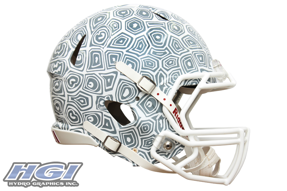 maryland_turtle_side